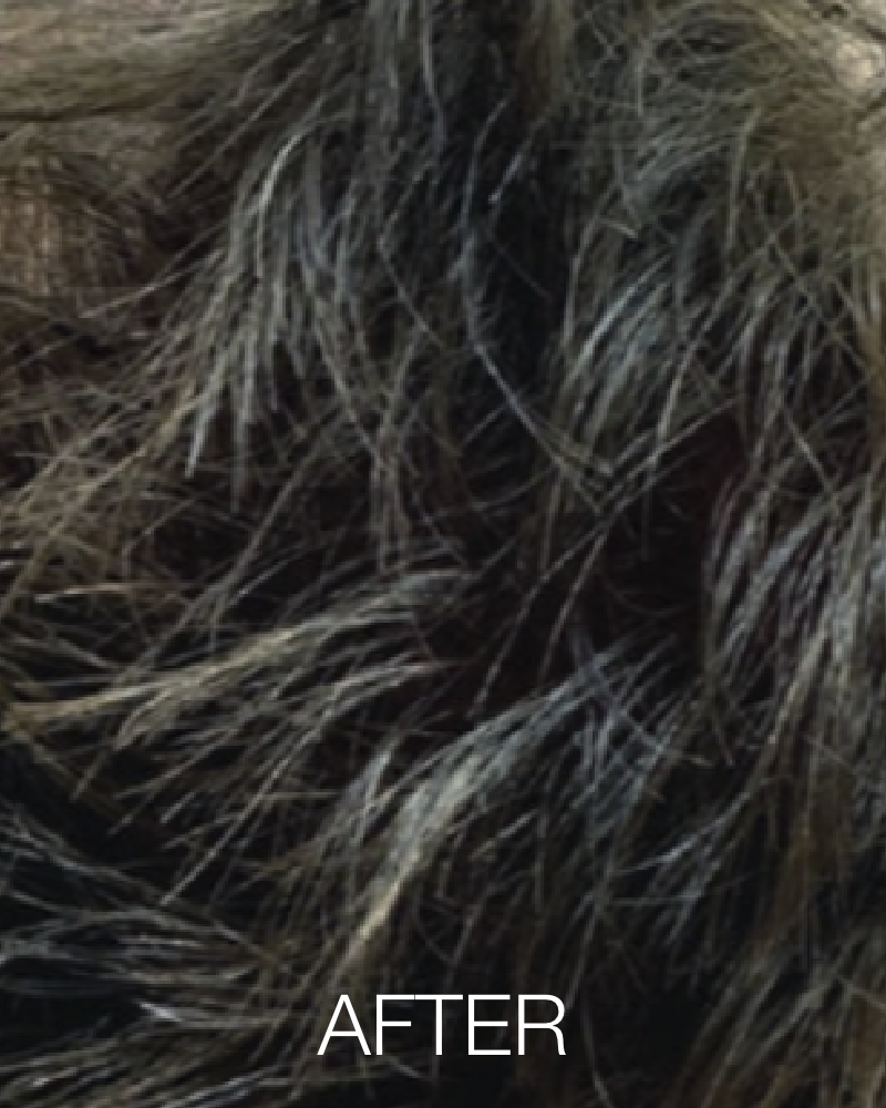 Three (3) Treatments of HydraScalp - Full Scalp + Get FREE HydraFacial Keravive Peptide Complex Spray ($95 Value)
